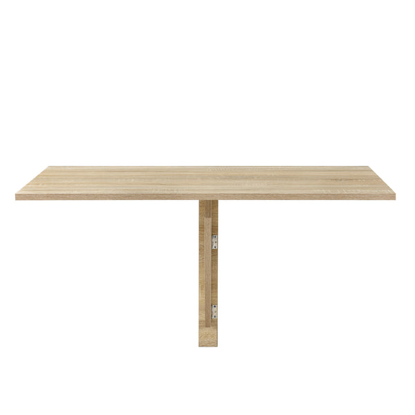 Schreibtisch 100x60x58 cm Klappbar en.casa