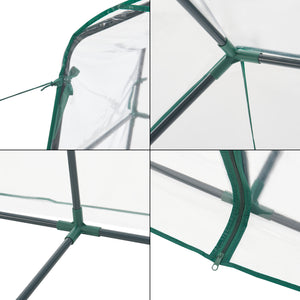 Gewächshaus Hoorn mit Ablagen 140x73x195cm Transparent [en.casa]