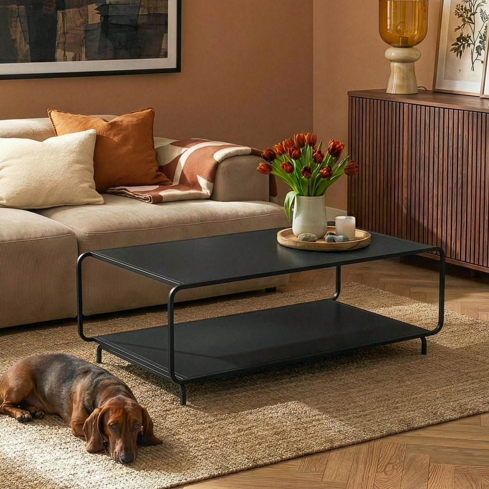 Couchtisch Færder 115x50x45 cm Stahl Schwarz [en.casa]