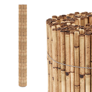 Schilfrohrmatte Allzio in versch. Größen [casa.pro]