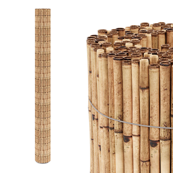 Schilfrohrmatte Allzio in versch. Größen [casa.pro]