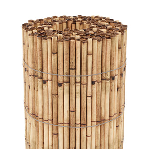 Schilfrohrmatte Allzio in versch. Größen [casa.pro]