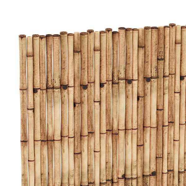 Schilfrohrmatte Allzio in versch. Größen [casa.pro]