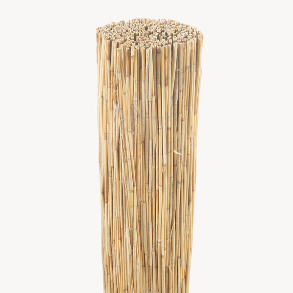 Schilfzaun Abbateggio [casa.pro]
