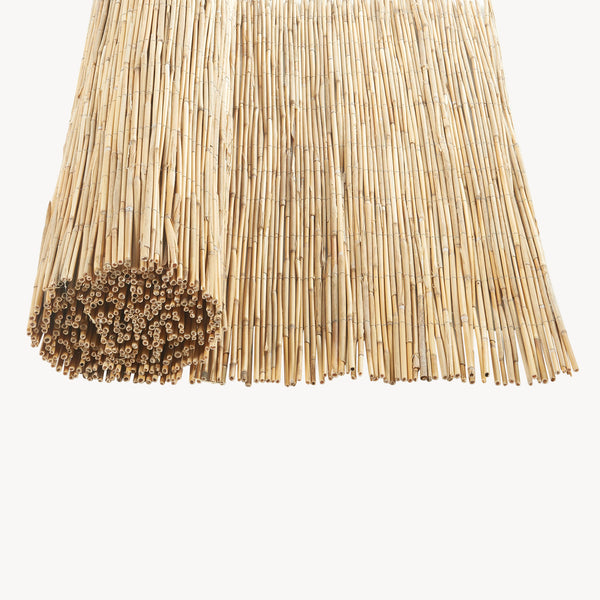 Schilfzaun Abbateggio [casa.pro]